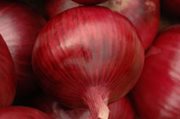 onion-red_6305