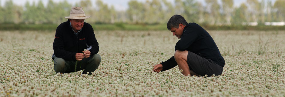 Men in a field